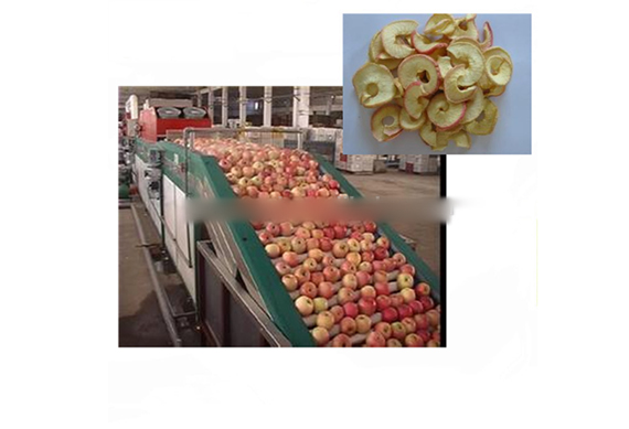 completeindustrial apple chips making machines