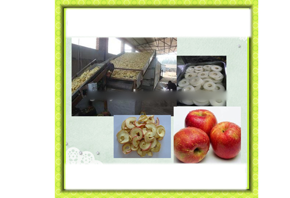 completeindustrial apple chips making machines