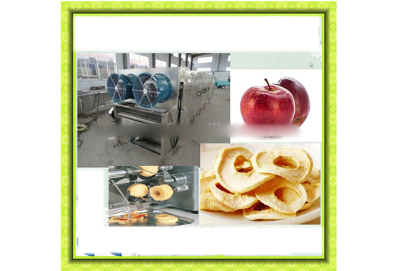 completeindustrial apple chips making machines