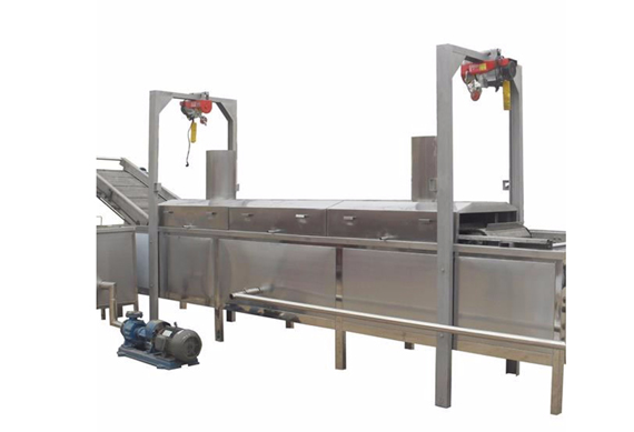 vacuum fried mushroom chips snack processing plant