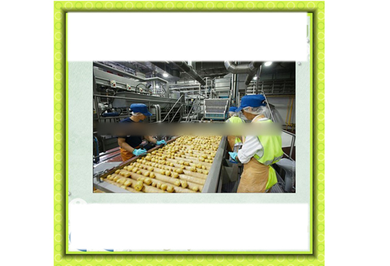 vacuum fried mushroom chips snack processing plant