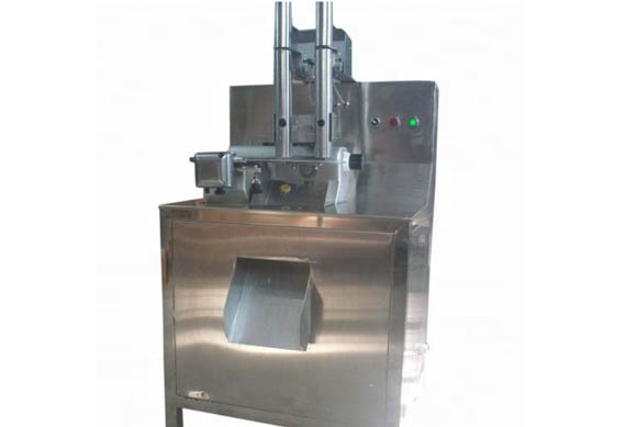 industrial hot selling dried fruit chips production line for lemon chips with lemon peeler/slicer