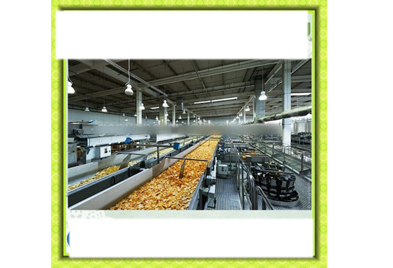 Complete potato chips process line / fried potato chips/sticks machine