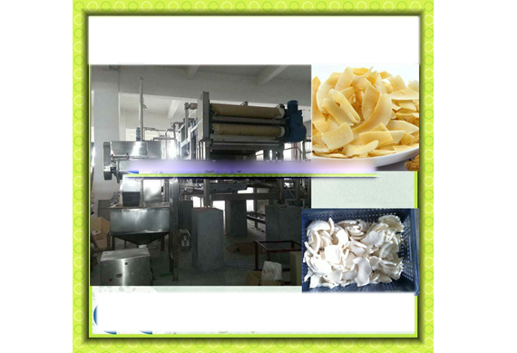 Complete crispy coconut chips production line