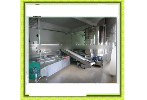 Desiccated coconut drying machine / coconut chips dryer