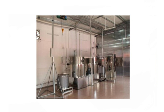 Fried Okra vacuum chips processing line