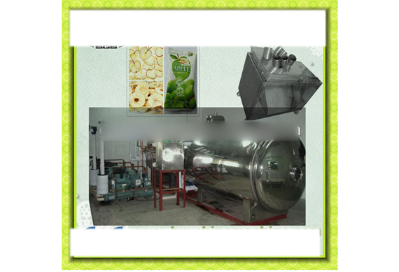 fruit chips production line with latest price