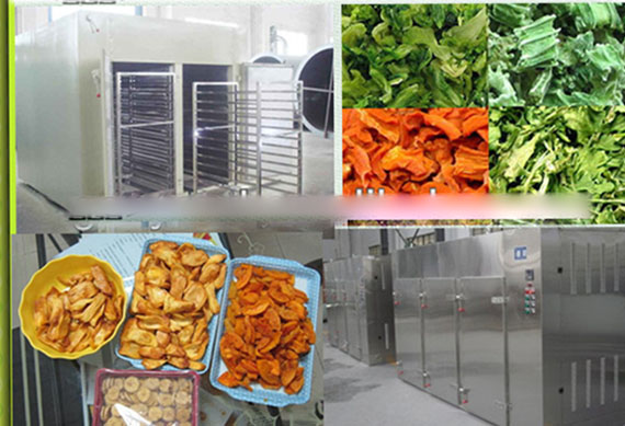 plantain chips drying machine