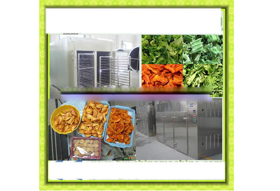 plantain chips production line