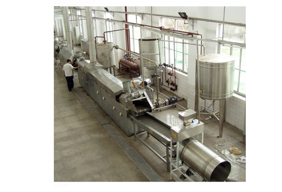 Electric small scale potato chips production line