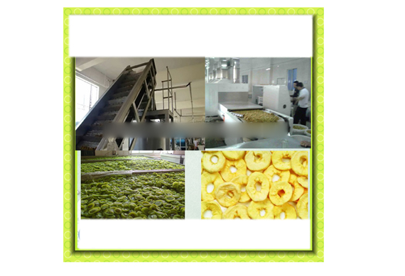 Professional Dried Apple Chips Processing Machines