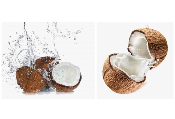 high quality coconut milk production plant