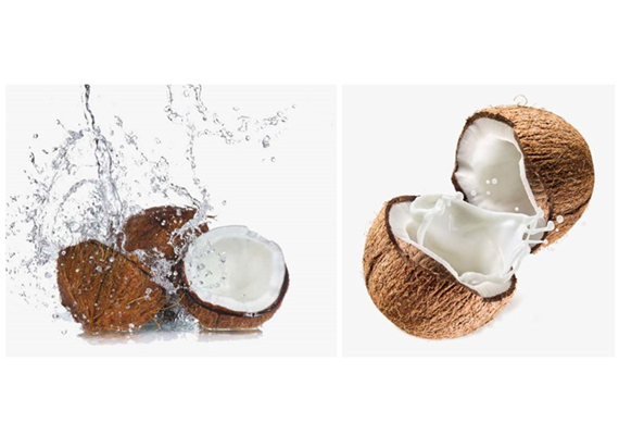 high quality coconut water production machine