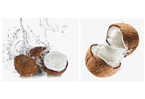 hot sell coconut juicing plant