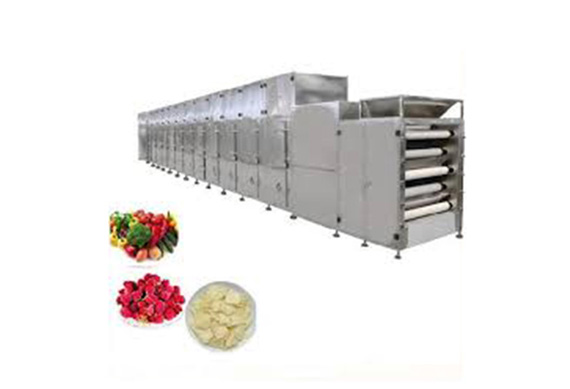 Popular Dried Fruit Processing Line Machines for Dried Kiwi,Pineapple Slices