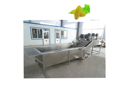 plant for raisin /dried grapes processing machine