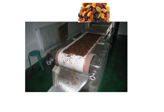 plant for raisin /dried grapes processing machine