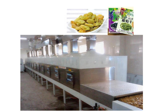 plant for raisin /dried grapes processing machine