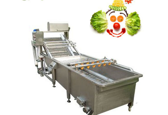 Vegetable leaf/Fries/Chips/Carrot/ Cauliflower/Chicory/Cabbage Pre-processing Production Line/Equipment/ Machines