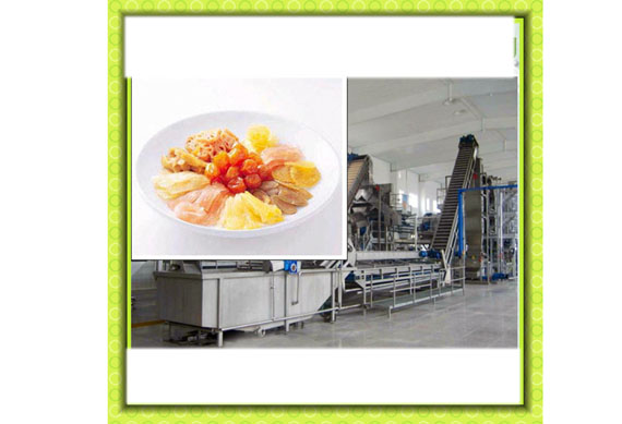 Vegetable leaf/Fries/Chips/Carrot/ Cauliflower/Chicory/Cabbage Pre-processing Production Line/Equipment/ Machines