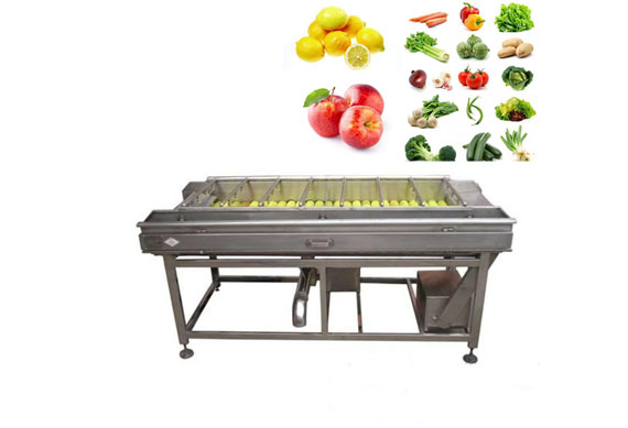 Vegetable leaf/Fries/Chips/Carrot/ Cauliflower/Chicory/Cabbage Pre-processing Production Line/Equipment/ Machines