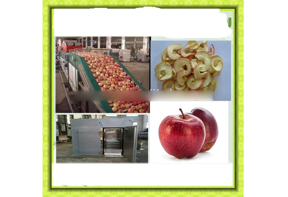 complete dried sliced mango drying processing machines