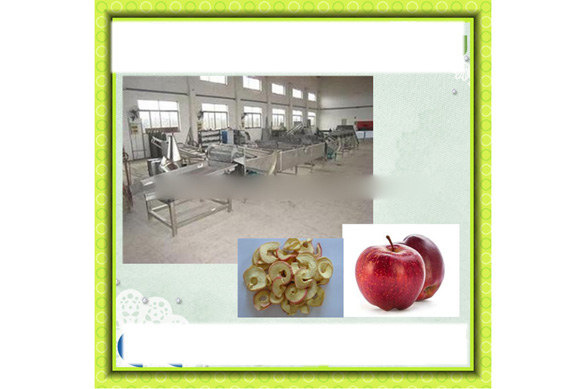 complete dried sliced mango drying processing machines