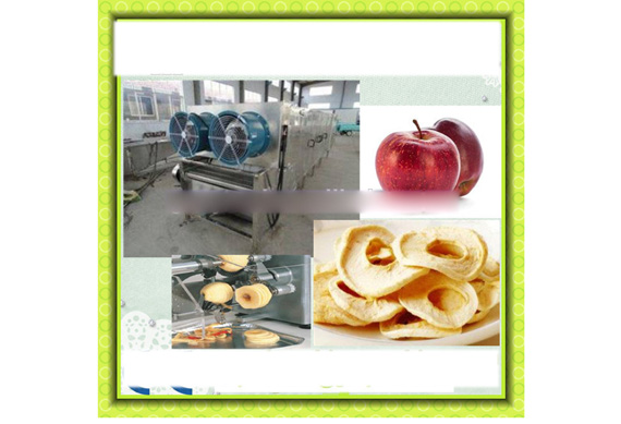 complete dried sliced mango drying processing machines