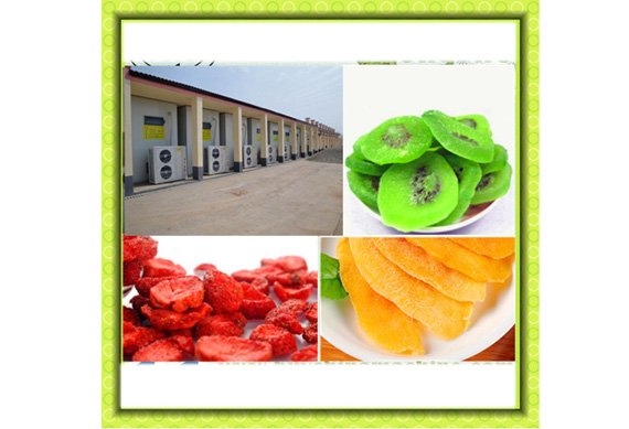 industrial chili dryer machine/dried chili processing machine/cherry drying machine