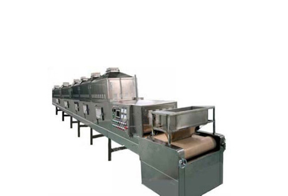 fruit and vegetable vacuum chips processing line