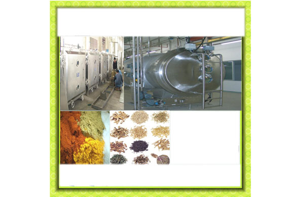 fruit and vegetable vacuum chips processing line