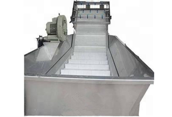 Muti-functional dried fruit production line small fruit and vegetable processing equipment