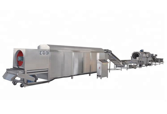 Muti-functional dried fruit production line small fruit and vegetable processing equipment