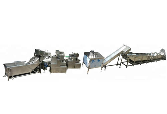 Muti-functional dried fruit production line small fruit and vegetable processing equipment