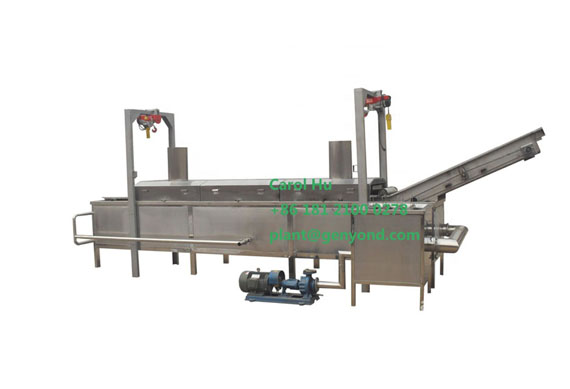 300kg/hr automatic fried banana chips processing line