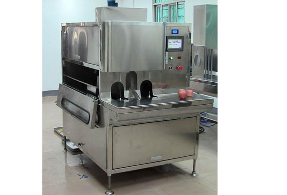 Automatic fruit peeling machine Industrial pineapple chips making machine
