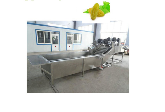 raisin production line plant dried fruit processing line for sale selfweight packing machine