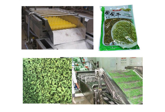 raisin production line plant dried fruit processing line for sale selfweight packing machine