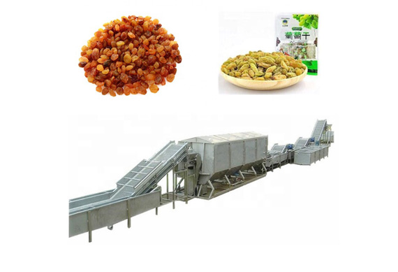 raisin production line plant dried fruit processing line for sale selfweight packing machine