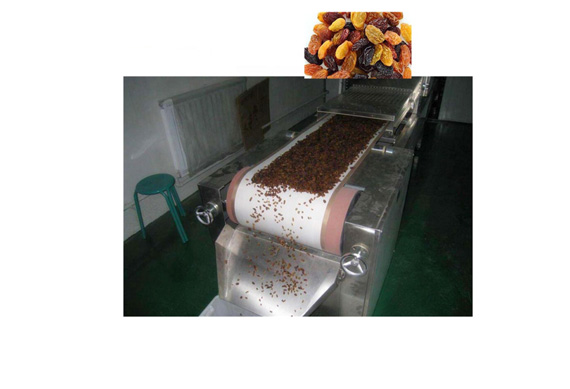 raisin production line plant dried fruit processing line for sale selfweight packing machine