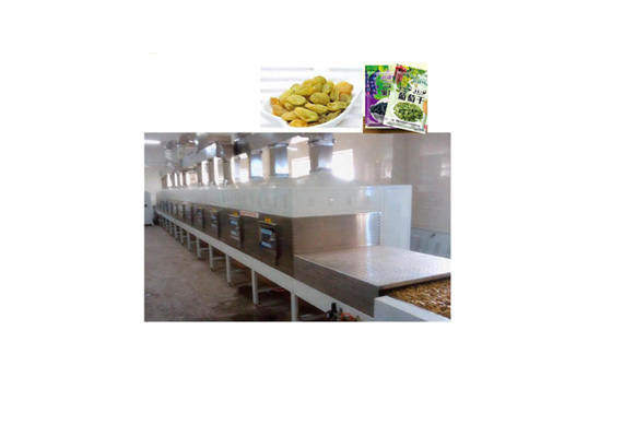 raisin production line plant dried fruit processing line for sale selfweight packing machine