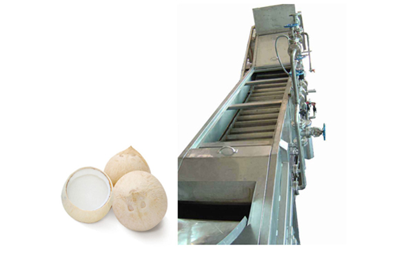 small scale coconut milk production machine