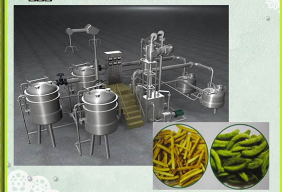 Fruit and Vegetable Chips making machine