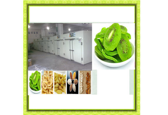 Fruit And Vegetable dry fruit production line