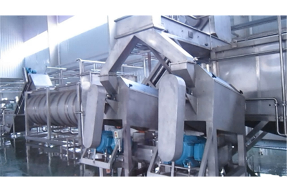 tomato powder machine production line