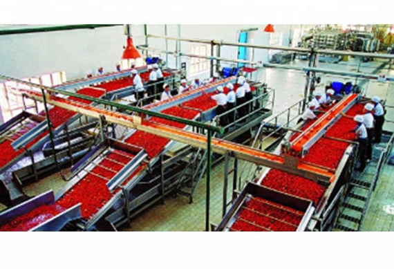 industrial tomato paste processing machine price