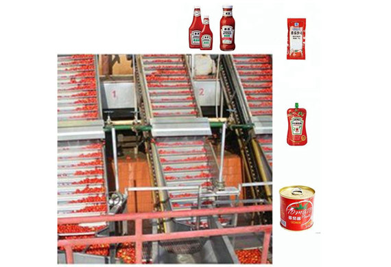 industrial tomato paste processing machine price