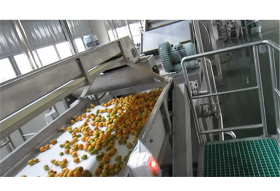 loquat juice production line