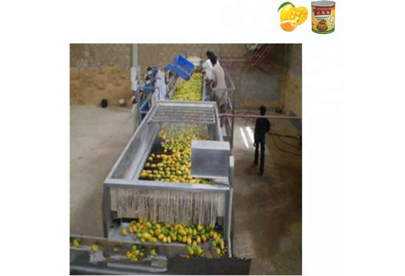 Fully automatic fruit jam production process