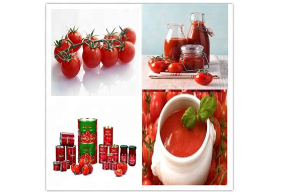 Small scale tomato paste processing plant